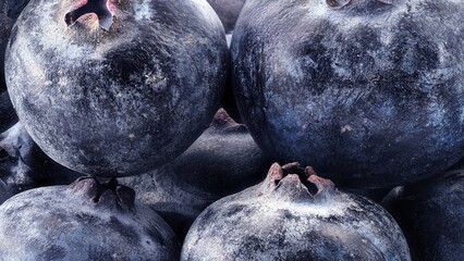 A blueberry is shown on a white background