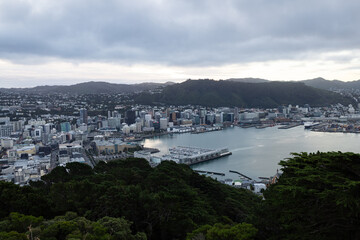 Obraz premium View of Wellington, New Zealand from Mount Victoria