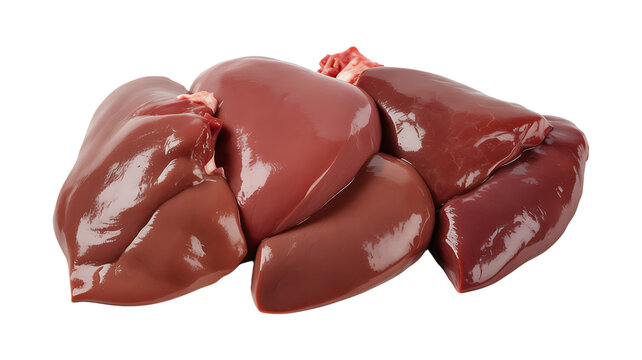 Freshly Harvested Animal Liver with Glossy Texture, Showing Rich Red Color