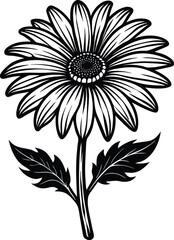 Abstract geometric pattern with dynamic lines and shapes for modern design concepts isolated on transparent background