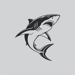 Aggressive Shark Drawing for Logo Design