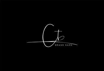 CT letter beauty cursive handwriting logo.