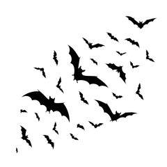 Silhouette of Bats Flying in a Swarm, Halloween Theme.