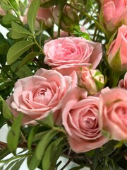 pink roses bouquet