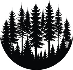 Evergreen Silhouette: A collection of towering evergreens, their dark silhouettes against a backdrop, creates a serene scene of nature's grandeur.