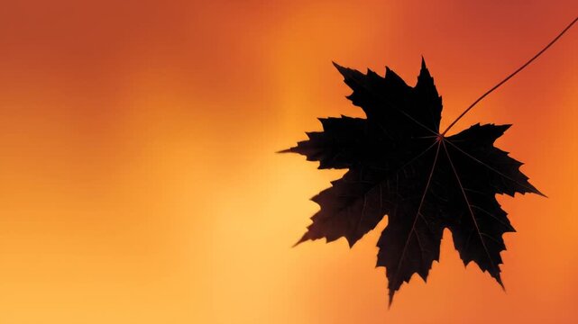 Silhouette of a single leaf against an orange gradient background