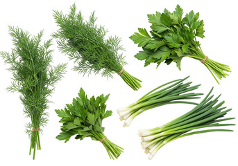 Assortment of fresh herbs isolated on transparent background