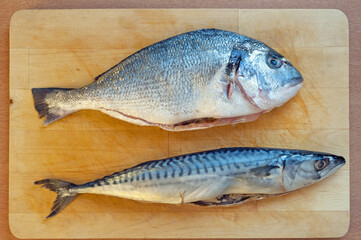 Atlantic mackerel and gilt-head bream on wooden tray