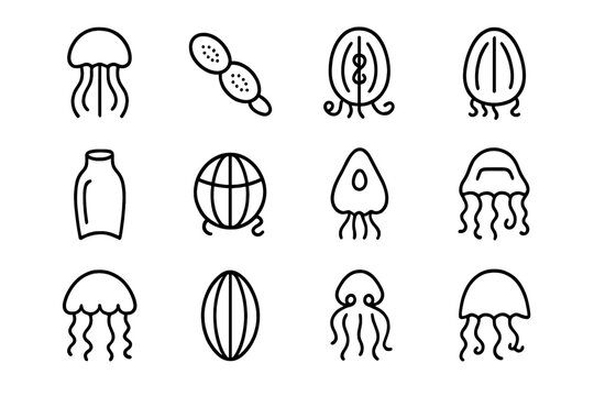 Pelagic Creatures Icons. Outline icon set of pelagic gelatinous creatures: jellyfish, salp chain, siphonophore