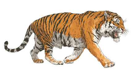 Obraz premium Wild Roaring Tiger Full Body Vector Illustration for Graphic Design Projects