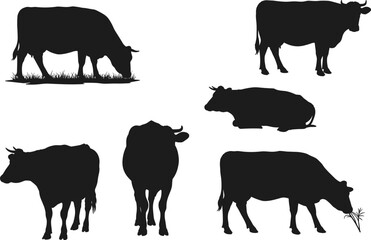 Cow silhouettes vector set, grazing cow, standing cow, lying cow, livestock illustration, farm animal artwork, agriculture design, countryside posture