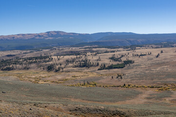 near Mt. Washburn North, Grand Loop Road, Yellowstone National Park , Wyoming. 