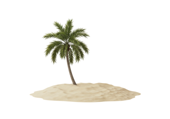 Palm tree on sand isolated transparent background