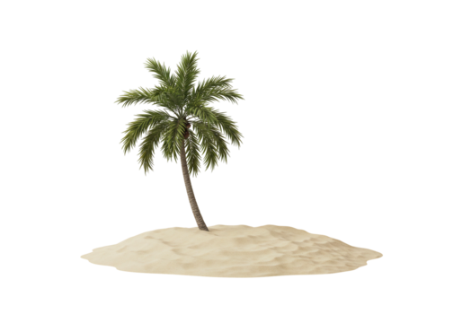 Palm tree on sand isolated transparent background