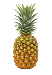 Fototapeta premium Pineapple fruit isolated illustration against transparent background