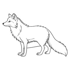 Arctic Fox
