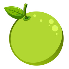 Vector art of a fresh lime illustration, showcasing its smooth skin, delicate stem, and lush green leaf in a simple design