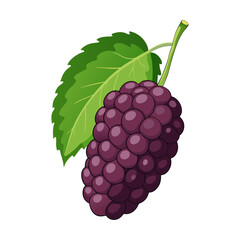 Vector art of a ripe mulberry, showcasing its deep purple color and vibrant green leaf, a delicious and healthy snack