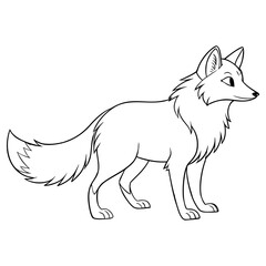 Arctic Fox