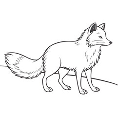 Arctic Fox