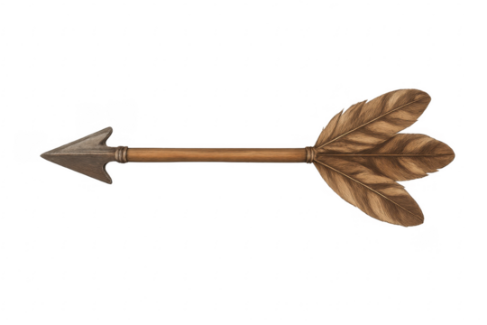 Vintage wooden arrow with metal arrowhead and feather fletching