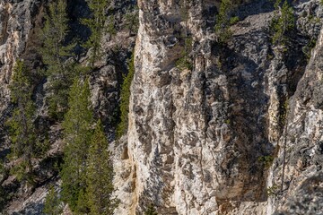 Plateau Rhyolite - Upper Basin Member. Grand View, Grand Canyon of the Yellowstone North Rim Drive. Yellowstone National Park , Wyoming. 