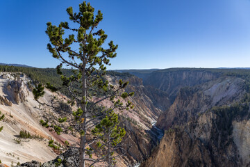 Plateau Rhyolite - Upper Basin Member. Grand View, Grand Canyon of the Yellowstone North Rim Drive. Yellowstone National Park , Wyoming. Yellowstone River