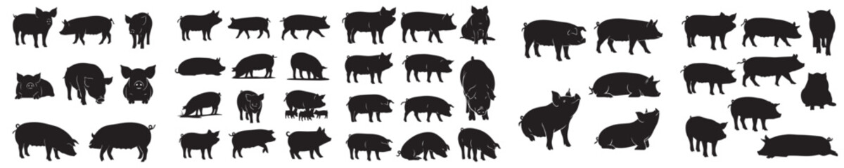 Set of vector silhouettes of pig in various poses