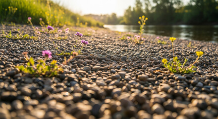Sun-kissed pebbles and vibrant wildflowers bloom along a serene riverbank, inviting peaceful contemplation and nature's beauty.