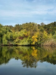 Peaceful river flowing through green trees with cloudy sky above.