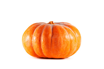 Bright orange pumpkin isolated on white background. Symbol of Halloween and Thanksgiving.