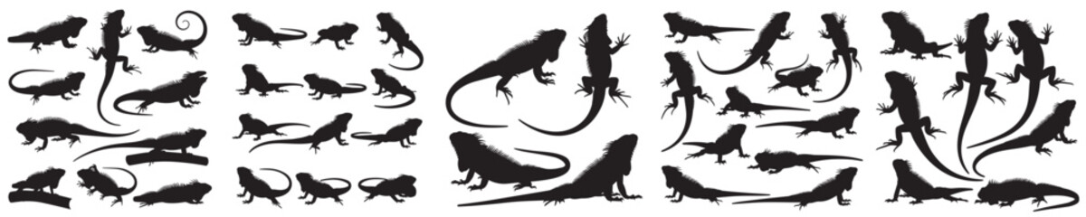 Set of vector silhouettes of iguana in various poses