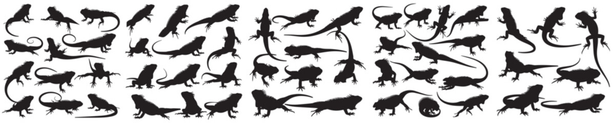 Set of vector silhouettes of iguana in various poses