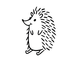 Cartoon doodle hand drawn cute hedgehog. Hand-drawn adorable hedgehog. Forest animals. Outline drawing for children.