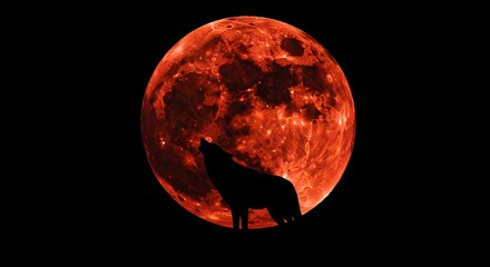 Lone wolf howls at a dramatic, fiery red and orange blood moon.