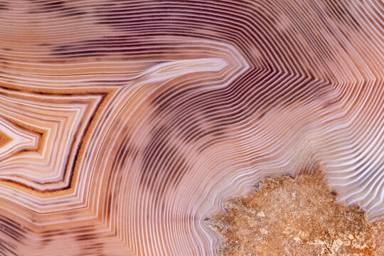 orange and brown agate structure closeup