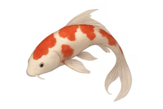 Koi fish showing white body with red spots - Powered by Adobe