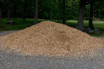 Large pile of wood chips on forest edge