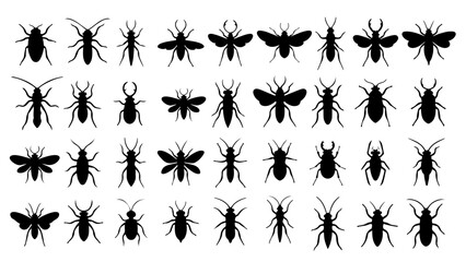 Fototapeta premium Unique Insect Silhouettes – Minimalist Flat Black Vector Icons, Flying, Crawling, Stinging, Exotic & Fantasy Insects