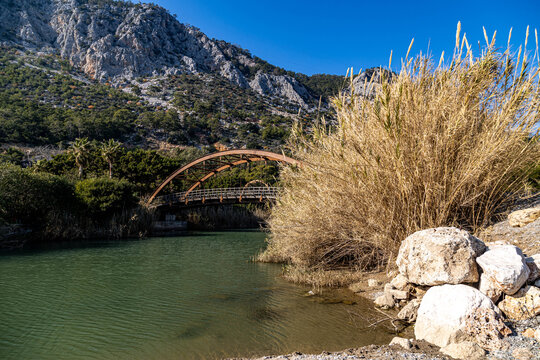 Scenic Sarısu River with historic stone arch bridge, green mountains and yellow giant reeds along clear waters. Beautiful Mediterranean landscape in Antalya, Turkey.

