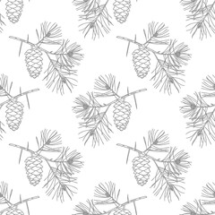 Pine branches with cones seamless botanical pattern. Sketch. Hand drawn illustration in vintage style.