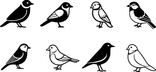 Obraz premium Set of bird vector icon