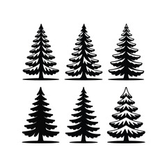 Obraz premium Six distinctive evergreen tree silhouettes