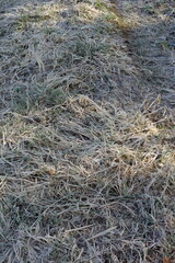 様々な地面のテクスチャ