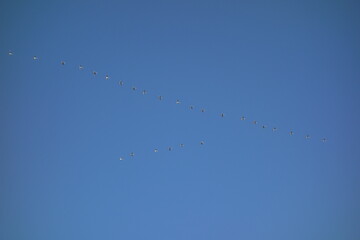 様々な空のテクスチャ
