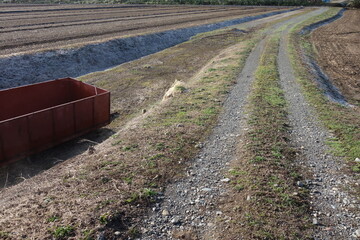 春の地面のテクスチャ