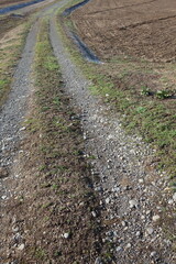 春の地面のテクスチャ