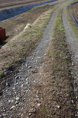 春の地面のテクスチャ