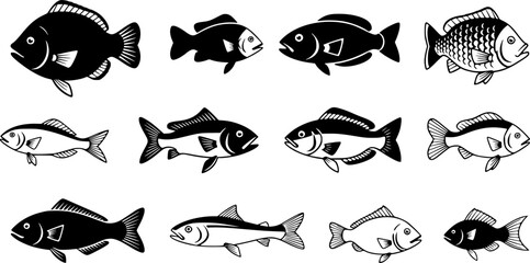 Set of fish vector icon