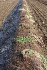 春の地面のテクスチャ